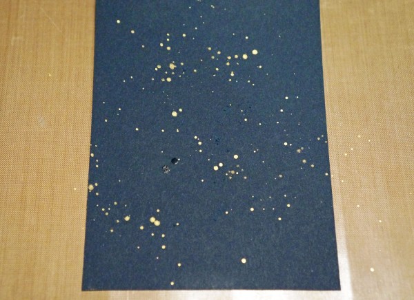 Freestyle Congrats 3