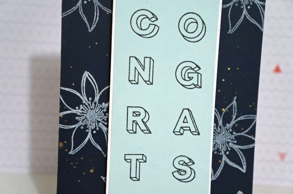 Freestyle Congrats 5