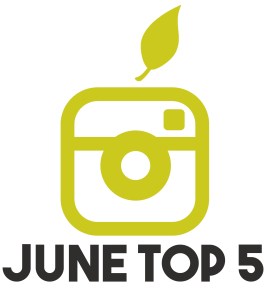 June Top 5